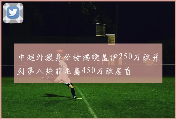 中超外援身价榜揭晓盖伊250万欧并列第八热菲尼奥450万欧居首