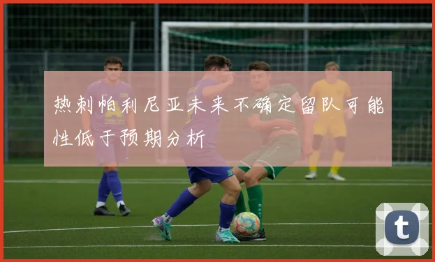 热刺帕利尼亚未来不确定留队可能性低于预期分析